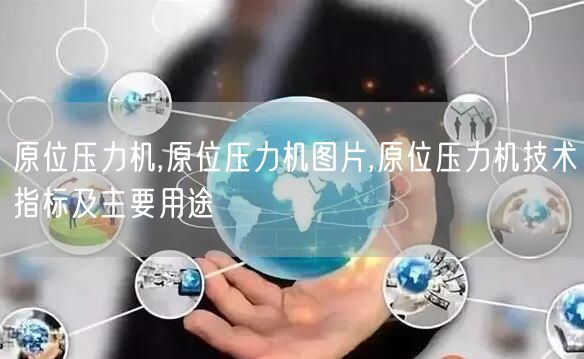 原位压力机,原位压力机图片,原位压力机技术指标及主要用途(图1)