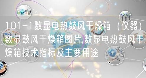 101-1数显电热鼓风干燥箱（仪器）数显鼓风干燥箱图片,数显电热鼓风干燥箱技术指标及主要用途(图1)