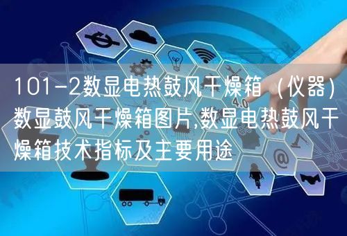 101-2数显电热鼓风干燥箱（仪器）数显鼓风干燥箱图片,数显电热鼓风干燥箱技术指标及主要用途(图1)