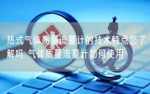 热式气体质量流量计的技术特点您了解吗 气体质量流量计如何使用(图1)