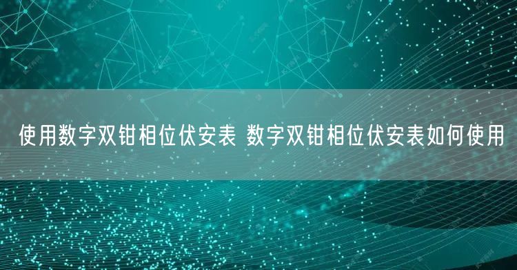 使用数字双钳相位伏安表 数字双钳相位伏安表如何使用(图1)