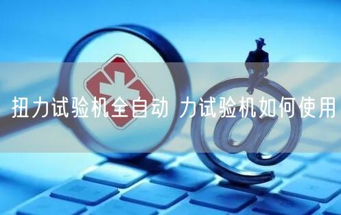 扭力试验机全自动 力试验机如何使用(图1)